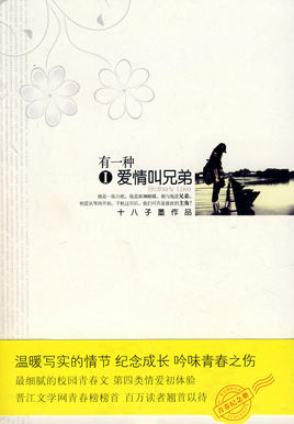 小说有一种爱情叫兄弟全文阅读