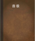 音极