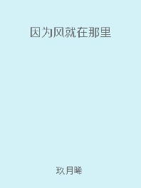 小说因为风就在那里全文阅读