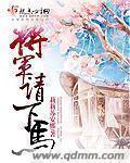 将军请下马顾心语