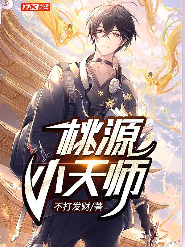 桃花源记天师怎么加点