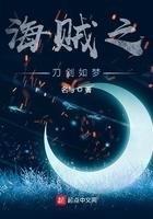 海贼之剑斩天下