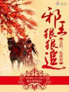 邪王狠狠追王妃
