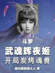 辉夜穿越斗罗