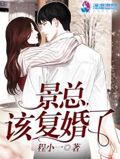景总天天想复婚txt