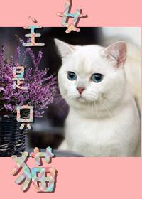 女主是只猫咪的