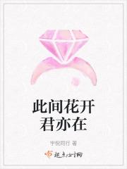 此花开尽更无花前一句是什么意思
