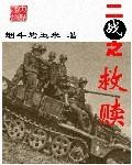 二战系统救南京