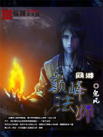 网游之巅峰法师 书评