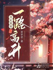 贵妃娘娘又翻牌了