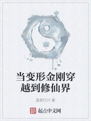 穿越变形金刚的无限