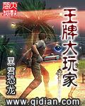 王牌大贱谍