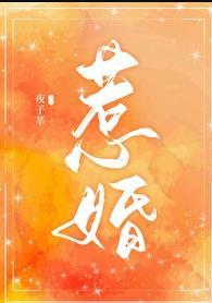 惹婚免费阅读完整版