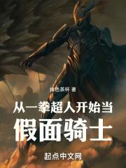 一拳超人假面骑士