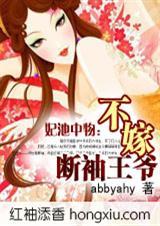不嫁断袖王爷好看吗
