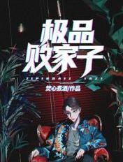 极品败家子免费观看