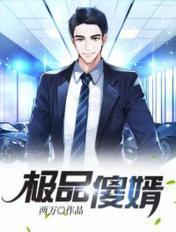 极品傻婿电视剧免费观看