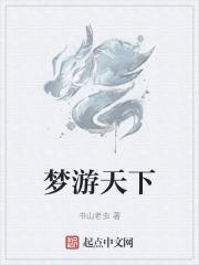 梦游天吟游别