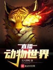 动物世界频道节目