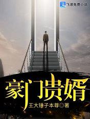 豪门贵婿100集完全版