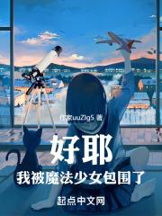 我被魔法少女包围了