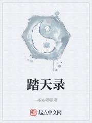 踏天录是什么