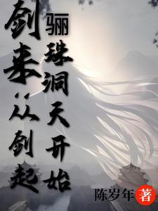 剑来从剑起骊珠洞天开始作者陈岁年