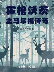 霍格沃茨20