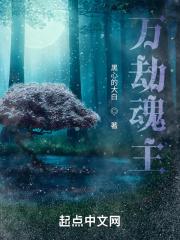 万劫魂主推荐