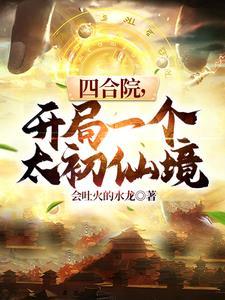 四合院开局十亩