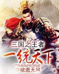 三国之统帅天下百度百科