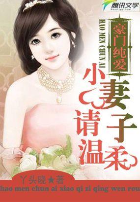 豪门小老婆全本