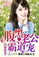 闪婚甜妻腹黑老公霸道宠免费阅读