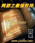 网游之最强牧师npc