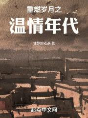 重燃岁月之温情年代TXT