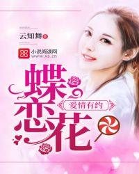 请播放蝶恋花
