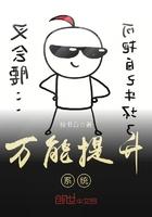 电脑万能系统