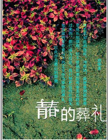 青春的葬礼郑钧唱作人