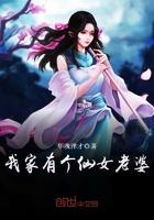 我家有个仙女老婆 种马文