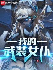 我的武装女仆完本