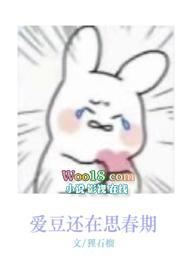 爱豆爱了