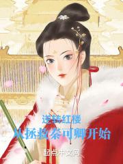 红楼之逆转人生