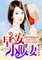 小娇妻全文