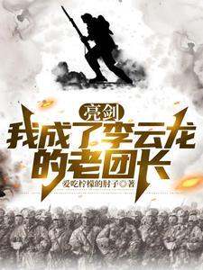 亮剑我震惊的李云龙