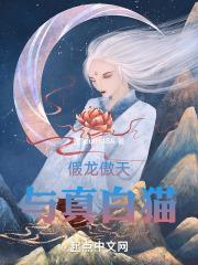 真龙傲天动漫系列