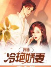 我的冷艳娇妻是间谍美莱子