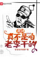 亮剑真不是咱老李干的 第1章