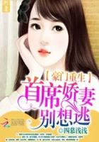 豪门重生首席第一夫人txt