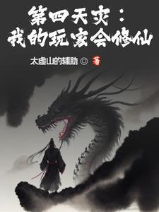 第四天灾玩家流无cp