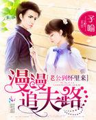 漫漫追妻路
